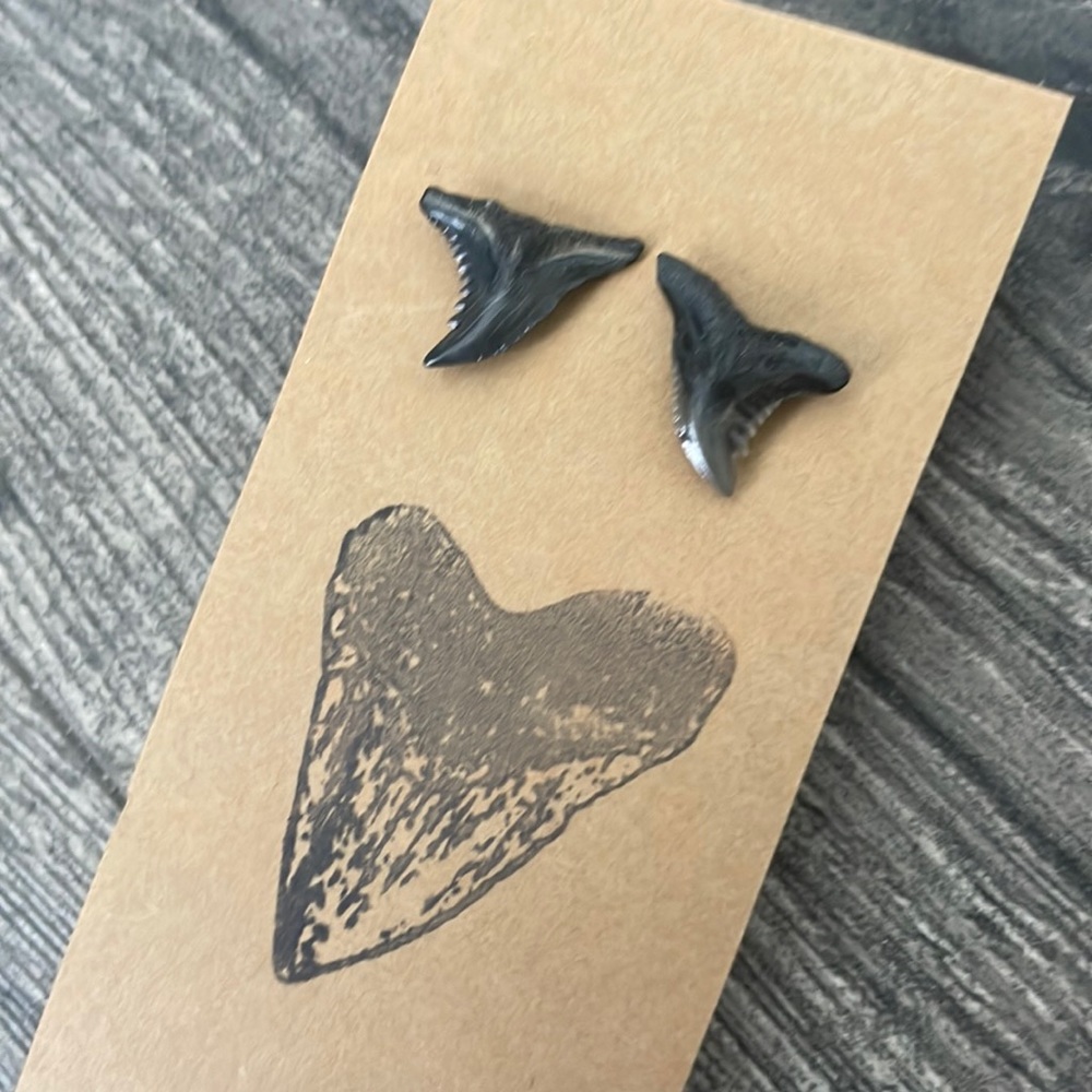 Shark Tooth Stud Earrings